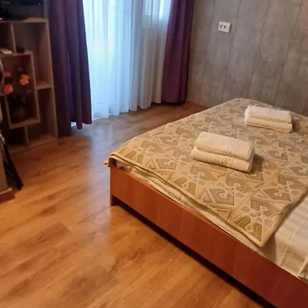 Casa Sergiu Guest house *